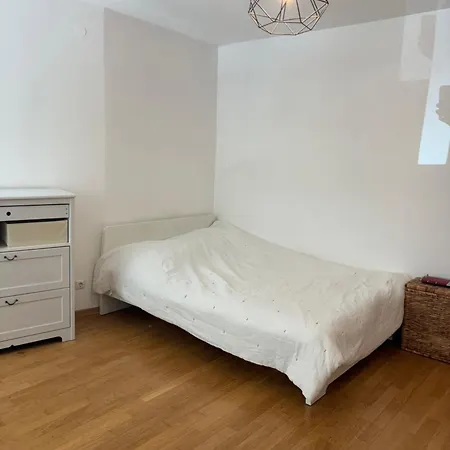 Beautiful Luxus Flat In A Lovely Area 公寓 慕尼黑